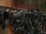 Mona wales, amara romani, Dresden 4/16