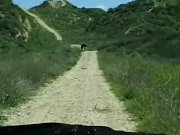 Summer sucks and fucks a huge cock 2/16