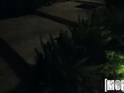 Mofos - Halloween Hos 1/16