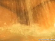 Exotic Dancing From Erotic India 15/16