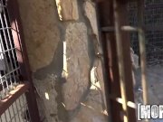 Mofos - Hot Latina Teases with Big Tits 2/16