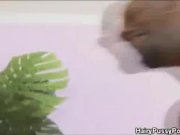 Hairy Pussy Maria Belluci Mouth Jizzed 10/16