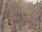 african safari fetish sex 2/16