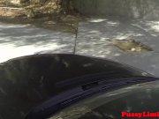 Leashed skank rough pounded doggystyle 5/16