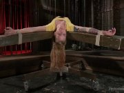 It's Never Enough 1/16