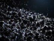 Lesbian pussy licking and pee drinking for girlfriends 2/16