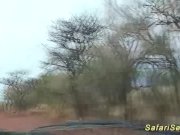 african jeep sex safari 1/16