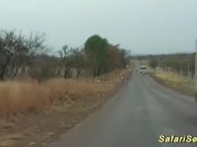 african jeep sex safari 2/16