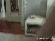 Girl with a dirty mind having hardcore sex 13/16