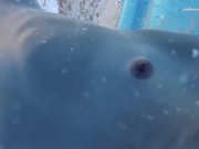 Hot Elena shows what she can do under water 14/16