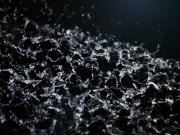 Piss drinking lesbian workout 1/16