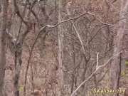 african fetish in nature 2/16