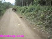 Heather Deep 4 wheeling on scary fast quad and Peeing next to horses in the 11/16