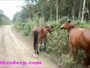 Heather Deep 4 wheeling on scary fast quad and Peeing next to horses in the 12/16