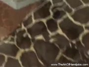 Girl Next Door Handjob