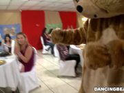 It's time to celebrate and party with the infamous Dancing Bear! (db9822)