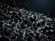 WTF ! Lesbian slumber party turn piss frenzy 1/16