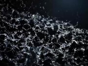 DAMN ! Lesbian pissing into girlfriends mouth 1/16