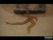 Orgy in the Pyramid 3/16