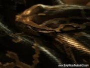 Lover From india So Hot 14/16