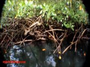 Heather deep goes out skinny dipping with new girlfriend and teaches her to 14/16