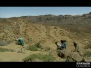 Mafalda and the Bedouins Ganbanged in the Desert 3/16