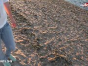 My Dirty Hobby - Hot public blowjob on the beach 4/16