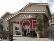 AllGirlMassage Camel Toe Leads to Vigorous Cunnilingus 1/16