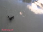 Thai teen heather goes atving in paradise and gets huge throatpie in quad.m 10/16