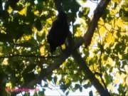 Thai teen heather goes atving in paradise and gets huge throatpie in quad.m 8/16