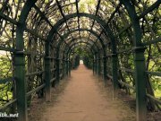 Jeny Smith wearing MyMokondo strap bondage in old park 6/16