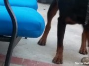 Samantha Saint tease photo shoot 10/16