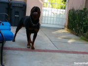 Samantha Saint tease photo shoot 11/16