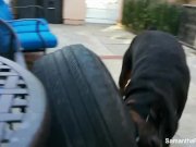 Samantha Saint tease photo shoot 15/16