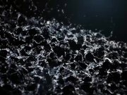 VIPissy - Paula Shy and Emylia Argan explore lesbian piss drinking 2/16