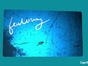 Capri Cavanni in Atlanta 1/16