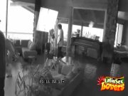 Cock Sucking Latina Hottie Alexis Love 12/16