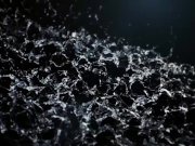 Vipissy - Soaking Wet Lace 2/16