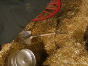 Busty Latina Captured By Her Own Prisoner 6/16