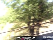 Lexidona - Camel 12/16