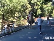 Lexidona - Camel 2/16