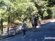 Lexidona - Camel 3/16