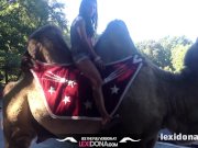 Lexidona - Camel 8/16