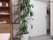 Weliketosuck - Dream Massage 3/16