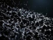 Vipissy - Wicky Angel and Nicol Love 2/16