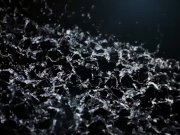 Vipissy - In The Garage 2/16