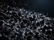 Vipissy - Home Competition 2/16