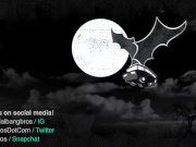 BANGBROS - More Alexis Texas Behind The Scenes Footage! 16/16