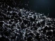 Vipissy - Rosy Piss Pals 2/16