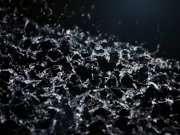 Vipissy - Kate Hill Licky Lex 2/16